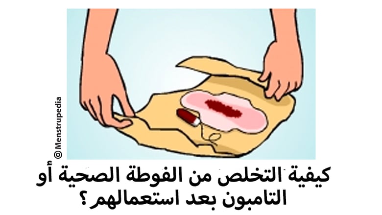 image for MPQ Arabic