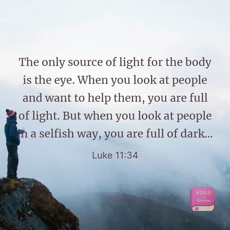 image for 