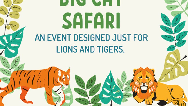 image for Big Cat Safari