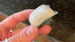 image for Warning about dishwasher pods