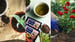 image for 9 Wonderful Used Tea Leaves…