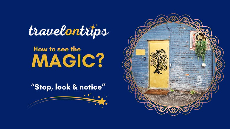 image for How to see the magic? Stop, look &…