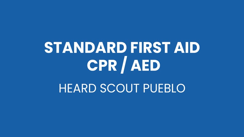 image for Standard First Aid / CPR / AED