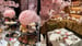 image for Vancouver's gorgeous Cherry…