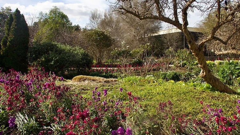 image for Inspired by the Secret Garden:…