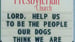 image for Oh Lord, our dogs see like…