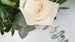 image for Easy & Pretty Tea Party…