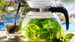 image for How to Make Peppermint Tea 5…