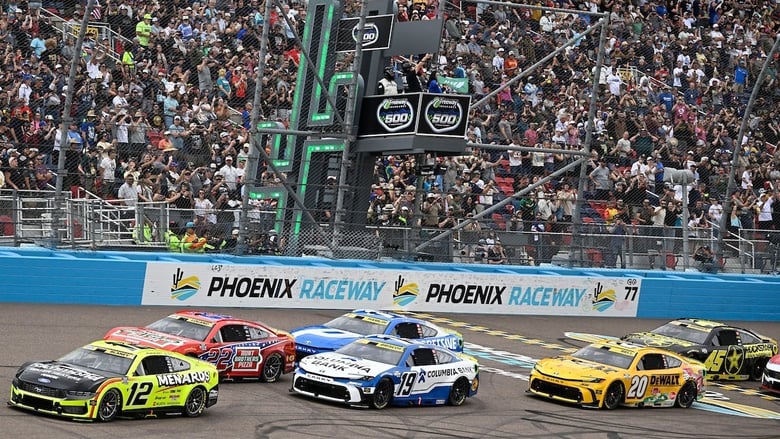image for Larson's Misfortune Keeps Cup Title…