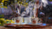 image for Hot tea and hot summers ?