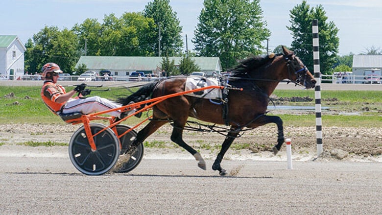 image for Dresden Raceway - Ontario Racing