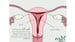 image for اليوم الأول  (MHM ED - 1:…